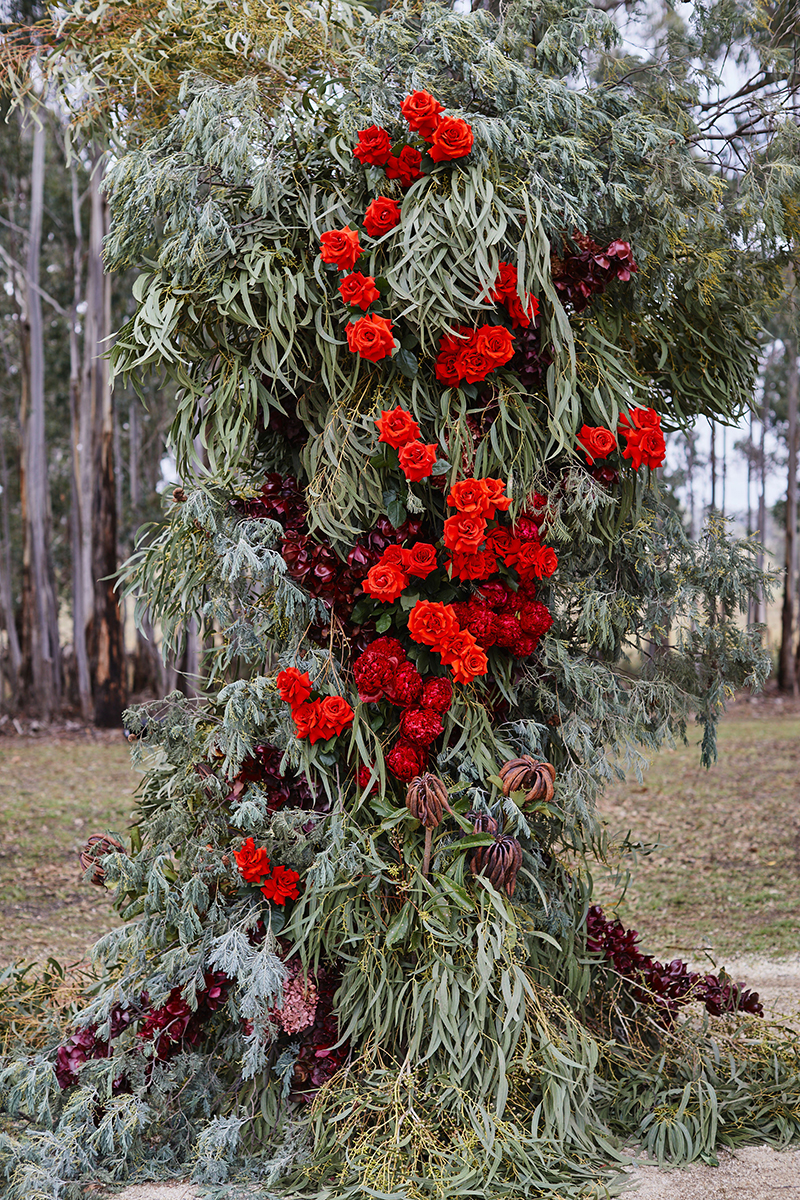 A floral arbor consisting of foliage and bright red roses.