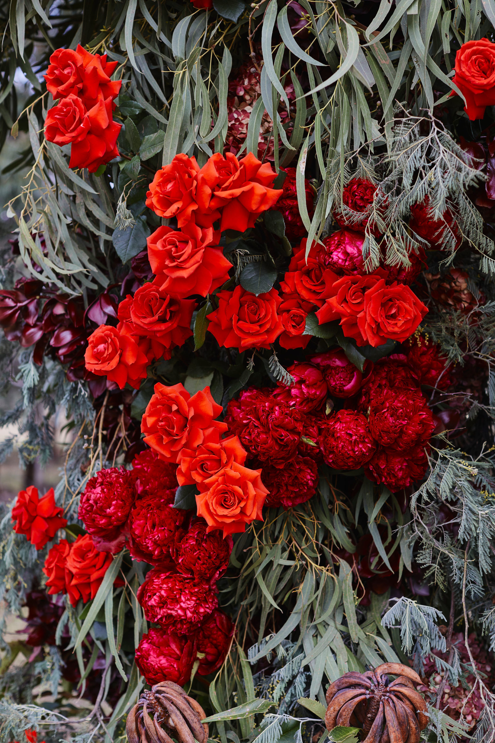 A close up of a floral arbor, containing bright red roses against green foliage.