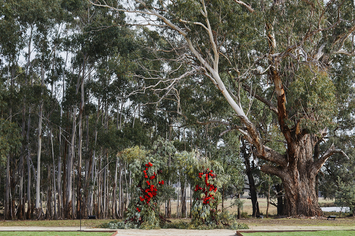 A green foliage arbor accented with bright red roses. The arbor is outside against a background of trees.