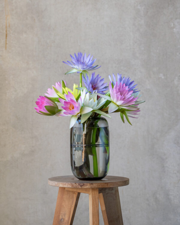 WATER LILY VASE  
