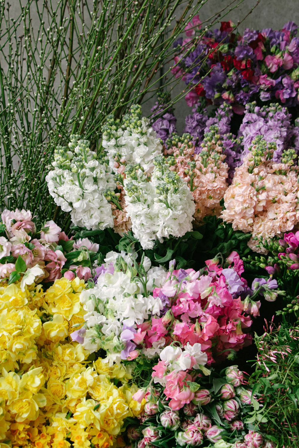 Premium Fresh Cut Flowers Melbourne by Flowers Vasette